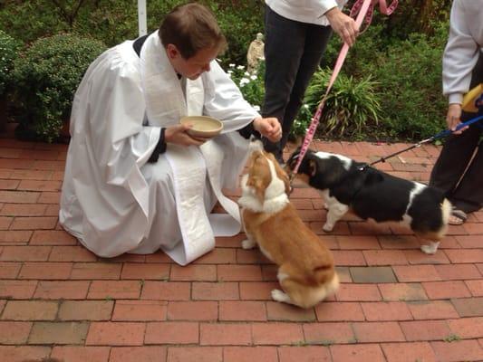 Their rector at the blessing of the animals.