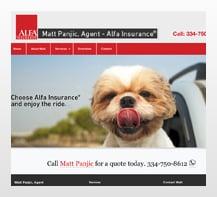 Client - Matt Panjic - Alfa Insurance