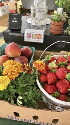 Buying Ruby June strawberries and May produce on today's trip