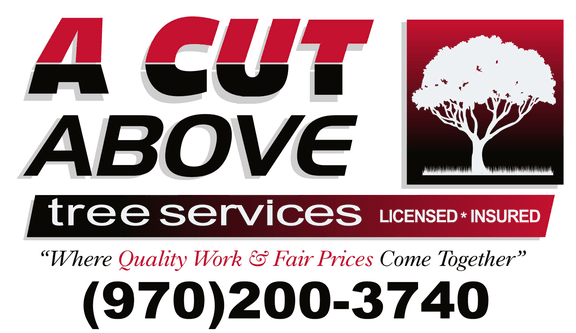 A Cut Above Tree Services