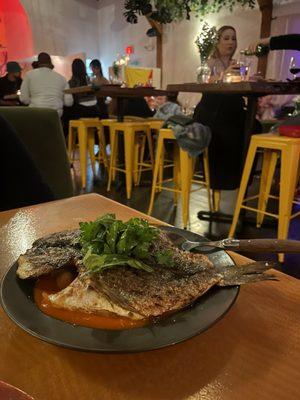 Sea bream