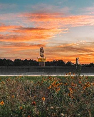 photo of Ashburn Turner Co. C.