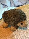 Photo of Hedgie H.