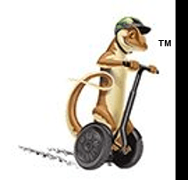 photo of Sedona Segway T.