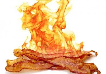 photo of Bacon G.