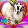 Photo of Goaty Z.