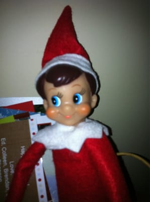 photo of Elfie C.