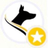 Gold Star Icon