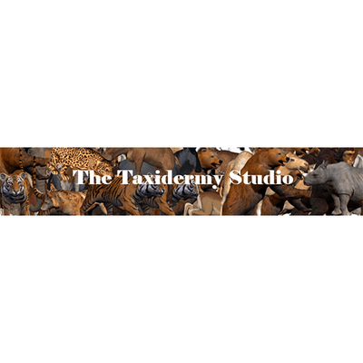 The Taxidermy Studio