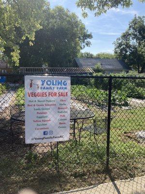 Young Family Farm