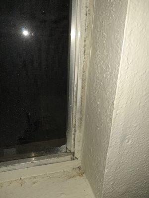 MOLD found beside my bedroom window I was sleeping beside that made me sick