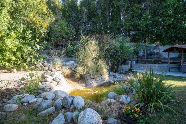 Lush garden to find peace and serenity