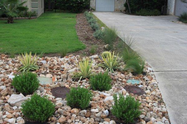 front Yard landscaping