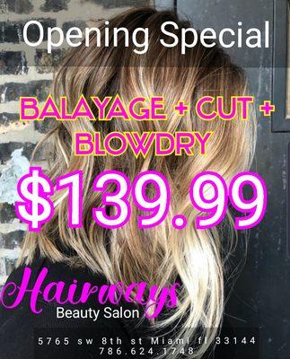 OPENING SPECIAL! BALAYAGE + CUT + BLOW DRY ONLY $139.99