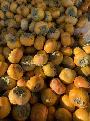 Persimmons