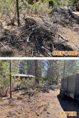 This was a beautiful property that we cleared yard debris off of! We can load it all for you.