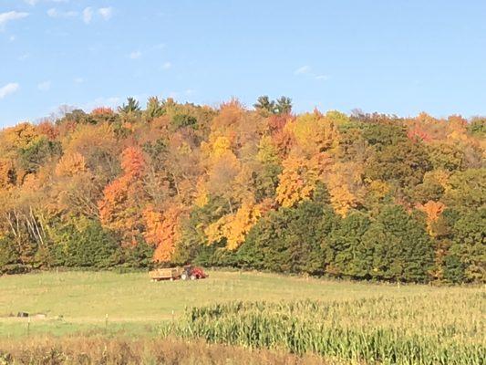 Valley Pasture Farm & Pumpkin Patch