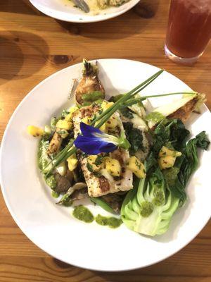 Mahi mahi, quinoa, fennel, bok choy, pineapple salsa, drips of