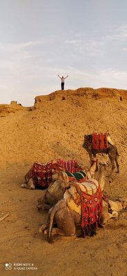 Camel ride at Giza pyramids