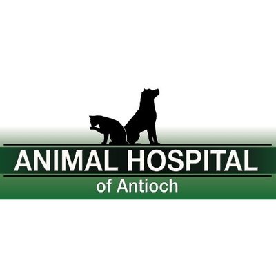 Animal Hospital of Antioch