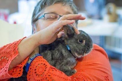 From our Blessing of the Animals service every October. Bring your pet to our next event!