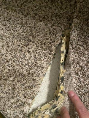 Ripped carpet