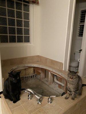 Master bathtub. Cats love the hole.