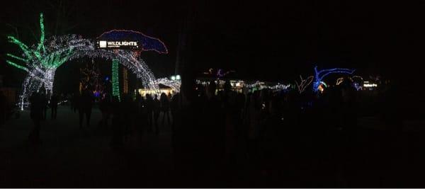 A pano or the Wildlights entrance