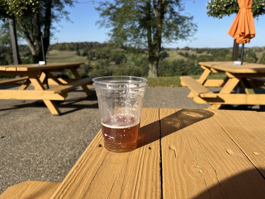 Great service, burgers are awesome and an incredible view. Extremely grateful for vegan options, too.