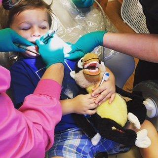 Little guy was comforted by Milo the Monkey. They really know how to treat kids here!