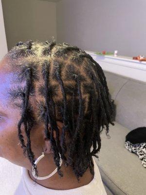 Adult Loc retwist