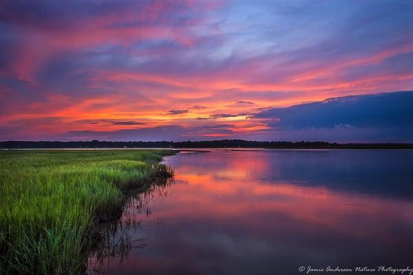 Coastal Georgia Fine Art Prints