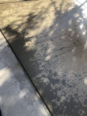 Concrete patio at 72 hours cured.