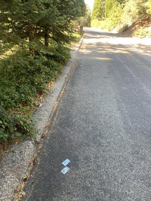 You can see three cards here - they were lining the entire road. They just threw them out of their window, presumably.