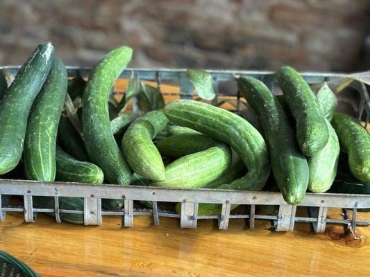 Local fresh garden cucumbers