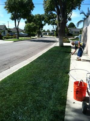 Our natural looking colorant will bring that deep, rich shade of green back to your lawn again, in as little as 1 hour!