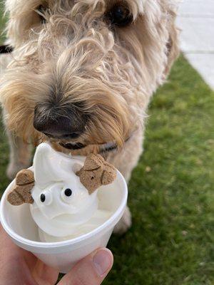 Pup sundae for Goldie.