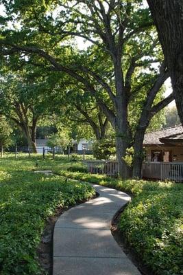 Leave your car behind. Walk through the gate and follow a winding path among old oak trees. This is our serene yoga sanctuary.