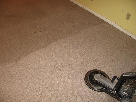 Regency Carpet & Floor Care