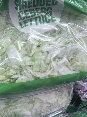 Came to this store and had bugs in the lettuce.