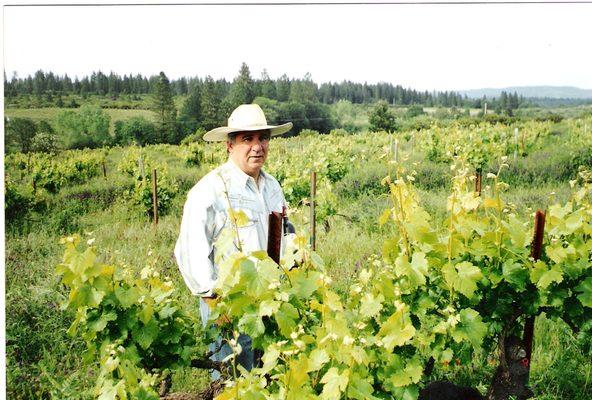 Phil LaRocca enjoying spring in the vineyard