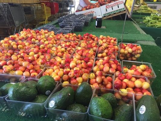 Avocados were $1 but very hard. Cherries looked good although I prefer the red ones.