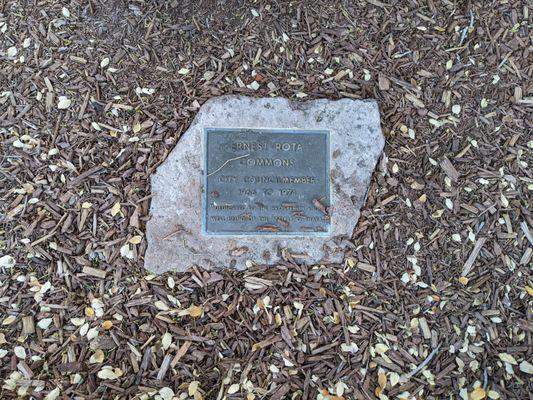 The Cork Oak, First Street Napa