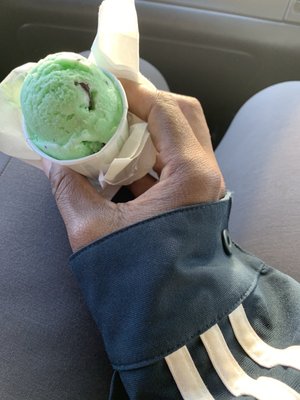 Mint Chocolate chip