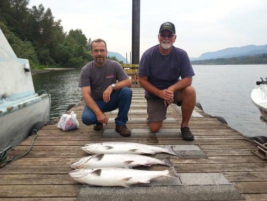 Columbia River Fall Chinook.