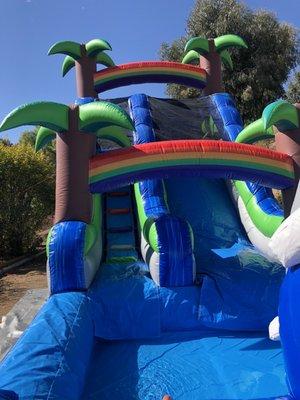 Tropical dolphin slide