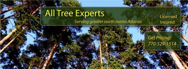 All Tree Experts