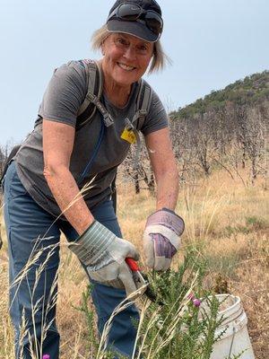 High Country Volunteers