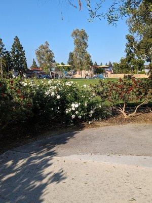 View of the park from the Saddleback Park sign