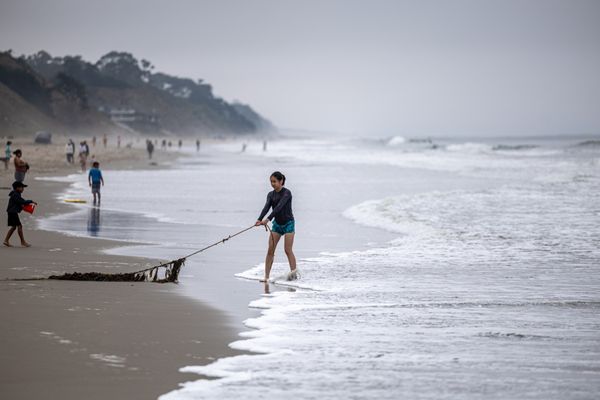 Manresa State Beach